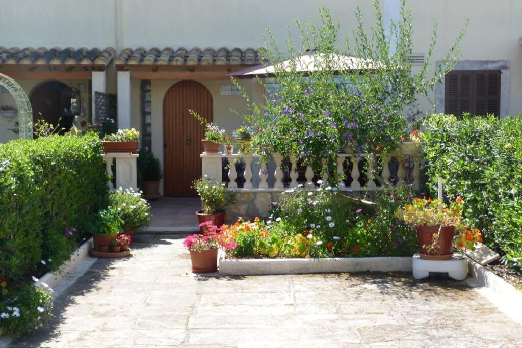 Casa Paraiso Sa Coma  Εξωτερικό φωτογραφία